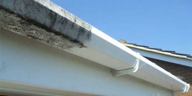 Gutters, Soffits & Fascias