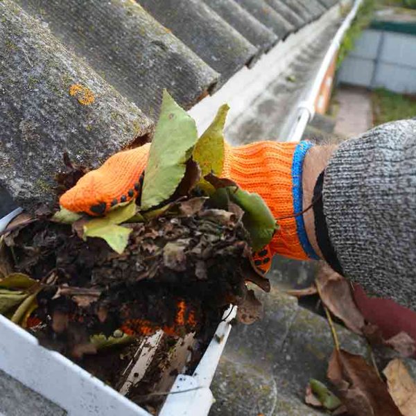 how-often-should-my-gutters-be-cleaned_